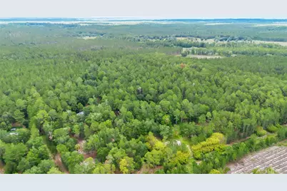 7831 NE 132nd Place, Citra, FL 32113 - Photo 7