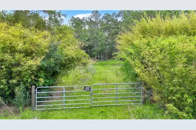 7831 NE 132nd Place, Citra, FL 32113 - Photo 3