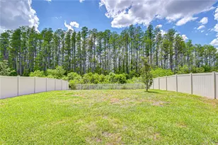 20978 Monza Loop, Land O Lakes, FL 34638 - Photo 43
