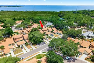1906 Westley St, Safety Harbor, FL 34695 - Photo 55