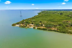 1906 Westley St, Safety Harbor, FL 34695 - Photo 59