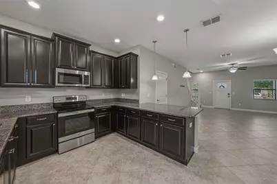 28647 Tranquil Lake Circle, Wesley Chapel, FL 33543 - Photo 13