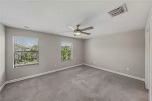 28647 Tranquil Lake Cir, Wesley Chapel, FL 33543 - Photo 19