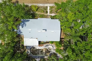 3812 W Empedrado St, Tampa, FL 33629 - Photo 5