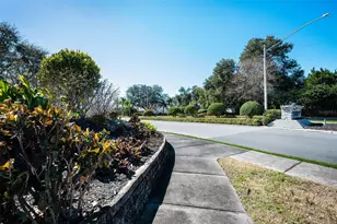 2814 Jarvis Cir, Palm Harbor, FL 34683 - Photo 93