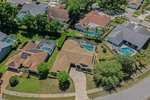 2814 Jarvis Cir, Palm Harbor, FL 34683 - Photo 19