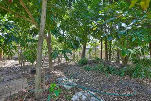 2679 Lakebreeze Ln S, Clearwater, FL 33759 - Photo 65