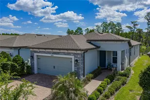 6041 Shorebird Br, Land O Lakes, FL 34638 - Photo 93
