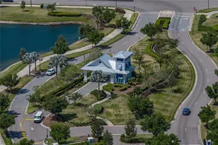 6041 Shorebird Br, Land O Lakes, FL 34638 - Photo 71