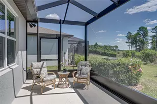 6041 Shorebird Br, Land O Lakes, FL 34638 - Photo 55