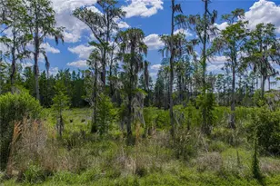 6041 Shorebird Br, Land O Lakes, FL 34638 - Photo 61