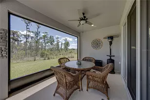 6041 Shorebird Br, Land O Lakes, FL 34638 - Photo 49