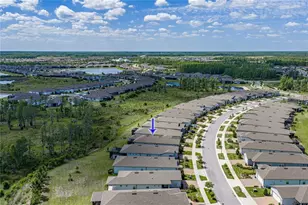6041 Shorebird Br, Land O Lakes, FL 34638 - Photo 65