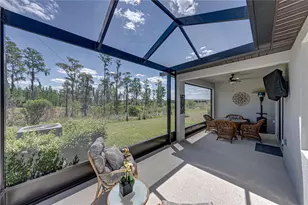 6041 Shorebird Br, Land O Lakes, FL 34638 - Photo 47