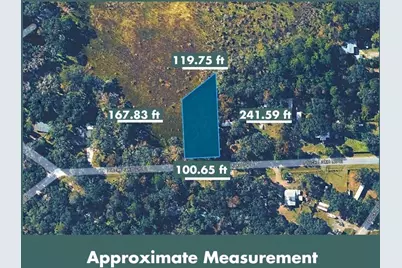 Duck Lake Drive, Fernandina Beach, FL 32034 - Photo 3