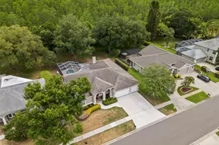 18543 Bittern Ave, Lutz, FL 33558 - Photo 25