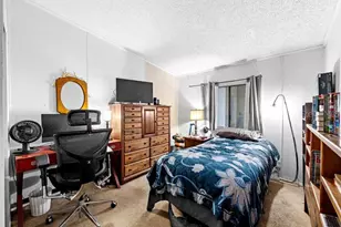 9122 Sheldon W Dr, Tampa, FL 33626 - Photo 17