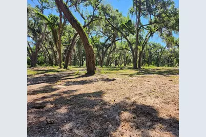 Muck Pond Road, Seffner, FL 33584 - Photo 5