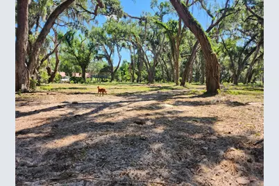 Muck Pond Road, Seffner, FL 33584 - Photo 1