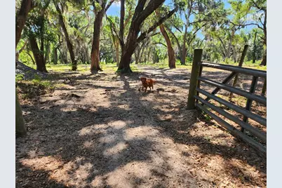 Muck Pond Road, Seffner, FL 33584 - Photo 13
