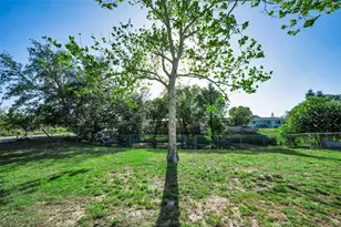 3011 Shadow Oaks Dr, Holiday, FL 34690 - Photo 19