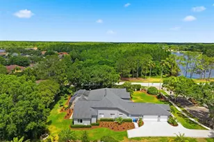 19130 Centre Rose Blvd, Lutz, FL 33558 - Photo 85
