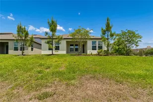 18238 Pearl Vw Pl, Lutz, FL 33548 - Photo 47