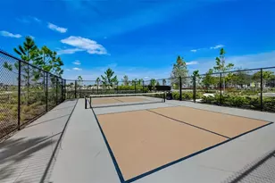 3139 Marine Grass Dr, Wimauma, FL 33598 - Photo 49