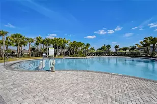3139 Marine Grass Dr, Wimauma, FL 33598 - Photo 47