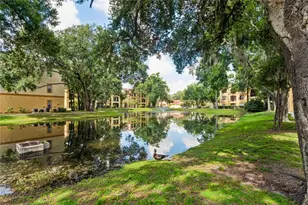 5618 Pinnacle Heights Cir, Tampa, FL 33624 - Photo 53