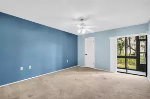 120 Evelyn Ct, Oldsmar, FL 34677 - Photo 29