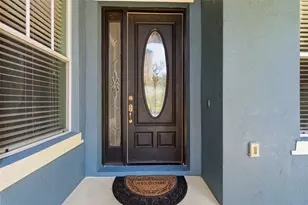 20629 Wild Plum Ct, Land O Lakes, FL 34637 - Photo 5