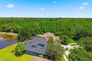 20629 Wild Plum Ct, Land O Lakes, FL 34637 - Photo 73