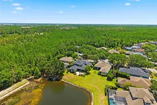 20629 Wild Plum Ct, Land O Lakes, FL 34637 - Photo 3