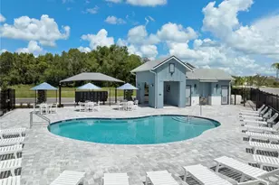 3435 Yellow Cassia Dr, Wesley Chapel, FL 33543 - Photo 19