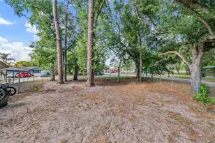 39048 Blue Jay Ave, Zephyrhills, FL 33542 - Photo 45