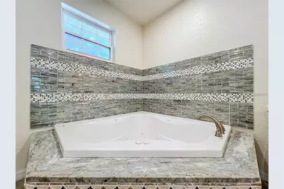 25 E Chesley Avenue, Eustis, FL 32726 - Photo 61