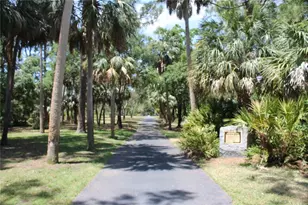 8347 41st Ave N, Saint Petersburg, FL 33709 - Photo 31