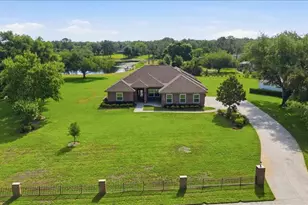 17825 Simms Rd, Odessa, FL 33556 - Photo 71