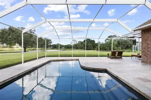 17825 Simms Rd, Odessa, FL 33556 - Photo 3