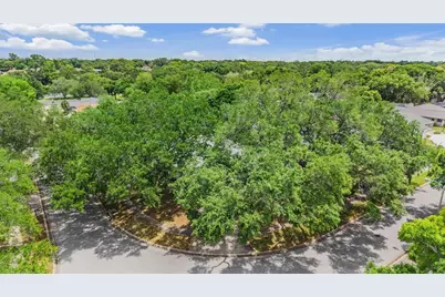 848 Hillside Drive, Palm Harbor, FL 34683 - Photo 55