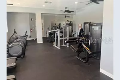 7318 Guilford Pine Lane, Apollo Beach, FL 33572 - Photo 65