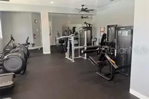 7318 Guilford Pine Ln, Apollo Beach, FL 33572 - Photo 65