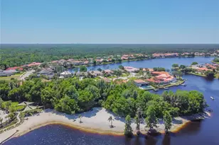11027 Tahiti Isle Ln, Tampa, FL 33647 - Photo 69