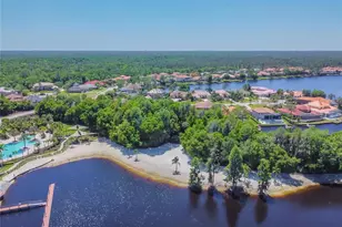 11027 Tahiti Isle Ln, Tampa, FL 33647 - Photo 73