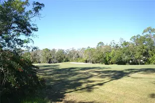 112 Lindsay Ln, Oldsmar, FL 34677 - Photo 65