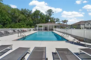 10908 Quickwater Ct, Riverview, FL 33569 - Photo 33