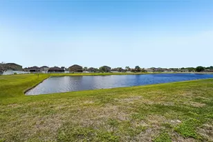 14310 Alistar Manor Dr, Wimauma, FL 33598 - Photo 33