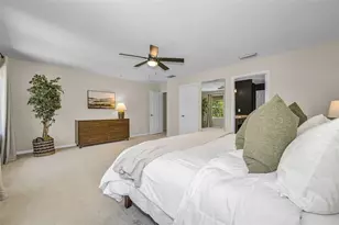 5820 Tulip Flower Dr, Riverview, FL 33578 - Photo 37