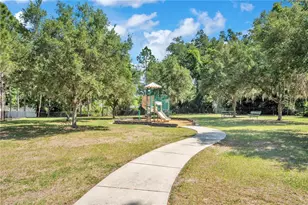 2210 Valterra Vista Way, Valrico, FL 33594 - Photo 49